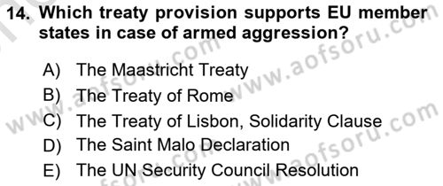 The European Union and Global Politics Dersi 2023 - 2024 Yılı (Vize) Ara Sınav Soruları 14. Soru