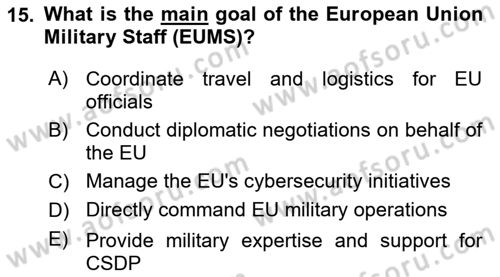 The European Union and Global Politics Dersi 2023 - 2024 Yılı (Vize) Ara Sınav Soruları 15. Soru