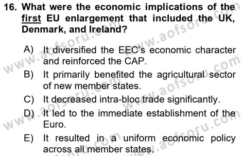 The European Union and Global Politics Dersi 2023 - 2024 Yılı (Vize) Ara Sınav Soruları 16. Soru
