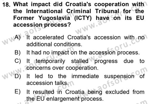 The European Union and Global Politics Dersi 2023 - 2024 Yılı (Vize) Ara Sınav Soruları 18. Soru