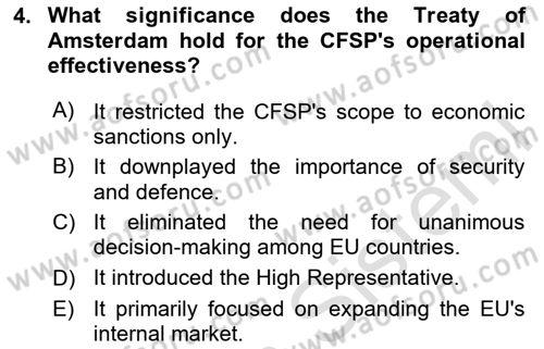 The European Union and Global Politics Dersi 2023 - 2024 Yılı (Vize) Ara Sınav Soruları 4. Soru