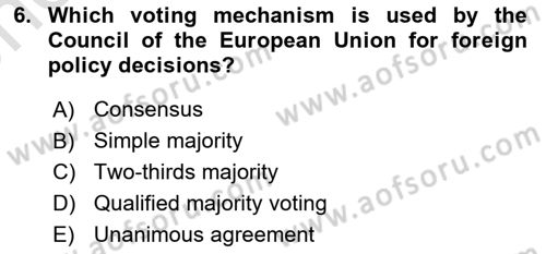 The European Union and Global Politics Dersi 2023 - 2024 Yılı (Vize) Ara Sınav Soruları 6. Soru