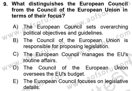The European Union and Global Politics Dersi 2023 - 2024 Yılı (Vize) Ara Sınav Soruları 9. Soru