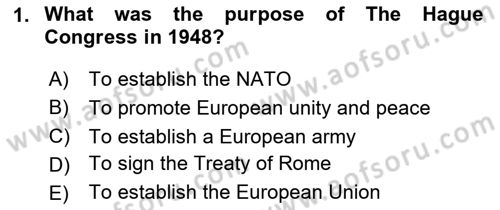 The European Union and Global Politics Dersi 2023 - 2024 Yılı (Final) Dönem Sonu Sınav Soruları 1. Soru