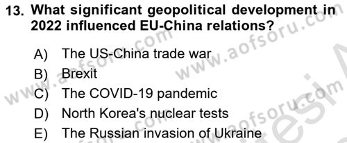 The European Union and Global Politics Dersi 2023 - 2024 Yılı (Final) Dönem Sonu Sınav Soruları 13. Soru