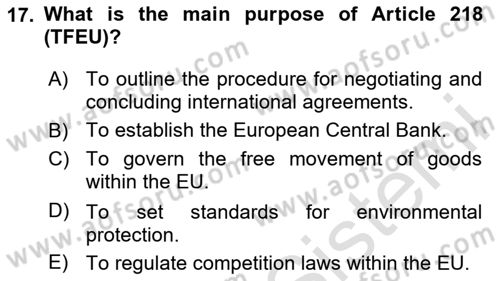 The European Union and Global Politics Dersi 2023 - 2024 Yılı (Final) Dönem Sonu Sınav Soruları 17. Soru