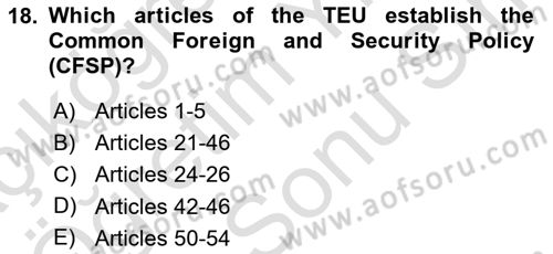 The European Union and Global Politics Dersi 2023 - 2024 Yılı (Final) Dönem Sonu Sınav Soruları 18. Soru