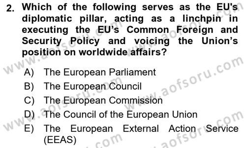 The European Union and Global Politics Dersi 2023 - 2024 Yılı (Final) Dönem Sonu Sınav Soruları 2. Soru