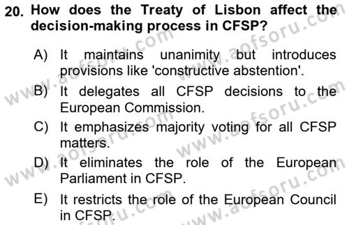 The European Union and Global Politics Dersi 2023 - 2024 Yılı (Final) Dönem Sonu Sınav Soruları 20. Soru