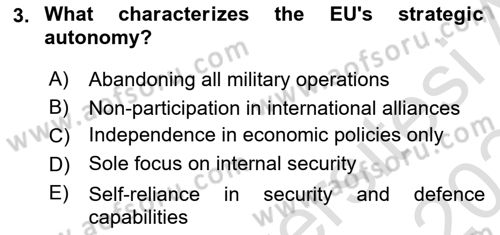 The European Union and Global Politics Dersi 2023 - 2024 Yılı (Final) Dönem Sonu Sınav Soruları 3. Soru