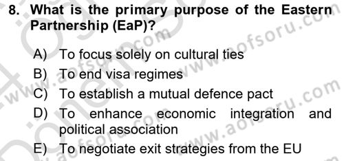 The European Union and Global Politics Dersi 2023 - 2024 Yılı (Final) Dönem Sonu Sınav Soruları 8. Soru
