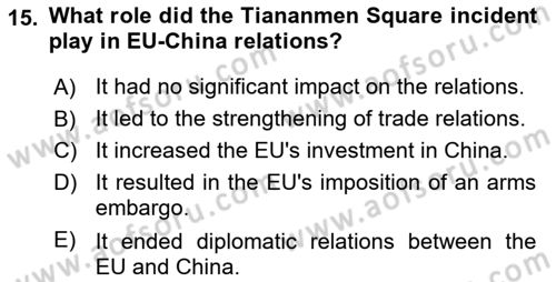 The European Union and Global Politics Dersi 2023 - 2024 Yılı Yaz Okulu Sınav Soruları 15. Soru
