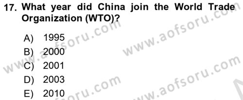 The European Union and Global Politics Dersi 2023 - 2024 Yılı Yaz Okulu Sınav Soruları 17. Soru