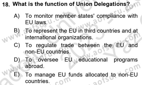 The European Union and Global Politics Dersi 2023 - 2024 Yılı Yaz Okulu Sınav Soruları 18. Soru
