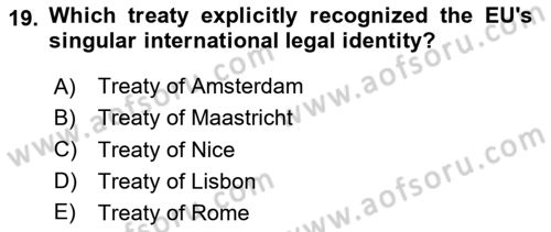The European Union and Global Politics Dersi 2023 - 2024 Yılı Yaz Okulu Sınav Soruları 19. Soru