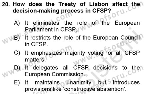 The European Union and Global Politics Dersi 2023 - 2024 Yılı Yaz Okulu Sınav Soruları 20. Soru