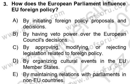 The European Union and Global Politics Dersi 2023 - 2024 Yılı Yaz Okulu Sınav Soruları 3. Soru