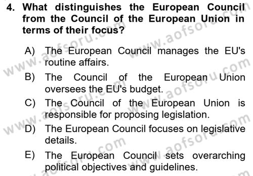 The European Union and Global Politics Dersi 2023 - 2024 Yılı Yaz Okulu Sınav Soruları 4. Soru