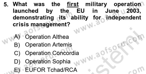 The European Union and Global Politics Dersi 2023 - 2024 Yılı Yaz Okulu Sınav Soruları 5. Soru