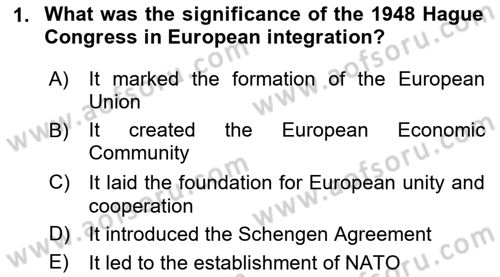 The European Union and Global Politics Dersi 2024 - 2025 Yılı (Vize) Ara Sınav Soruları 1. Soru