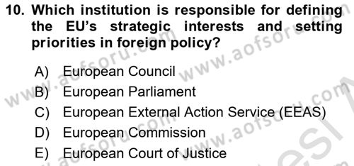 The European Union and Global Politics Dersi 2024 - 2025 Yılı (Vize) Ara Sınav Soruları 10. Soru