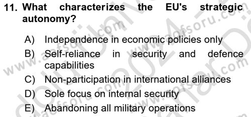 The European Union and Global Politics Dersi 2024 - 2025 Yılı (Vize) Ara Sınav Soruları 11. Soru