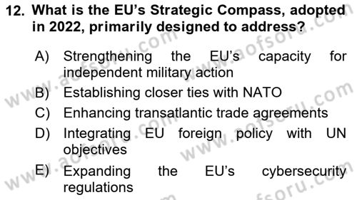 The European Union and Global Politics Dersi 2024 - 2025 Yılı (Vize) Ara Sınav Soruları 12. Soru