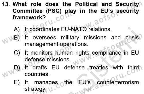 The European Union and Global Politics Dersi 2024 - 2025 Yılı (Vize) Ara Sınav Soruları 13. Soru