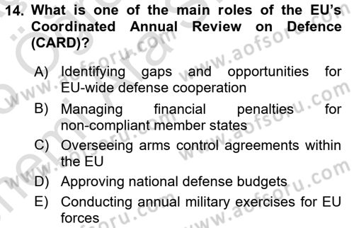 The European Union and Global Politics Dersi 2024 - 2025 Yılı (Vize) Ara Sınav Soruları 14. Soru
