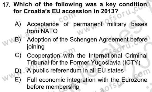 The European Union and Global Politics Dersi 2024 - 2025 Yılı (Vize) Ara Sınav Soruları 17. Soru