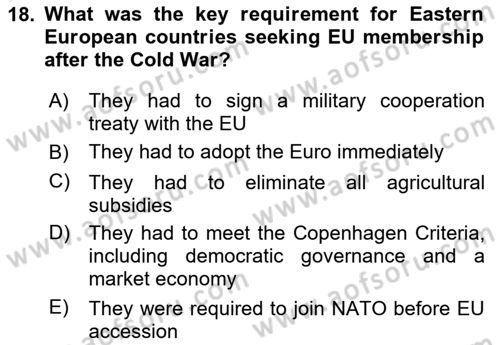 The European Union and Global Politics Dersi 2024 - 2025 Yılı (Vize) Ara Sınav Soruları 18. Soru