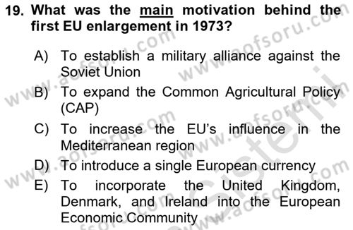 The European Union and Global Politics Dersi 2024 - 2025 Yılı (Vize) Ara Sınav Soruları 19. Soru