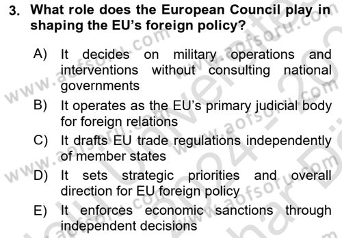 The European Union and Global Politics Dersi 2024 - 2025 Yılı (Vize) Ara Sınav Soruları 3. Soru