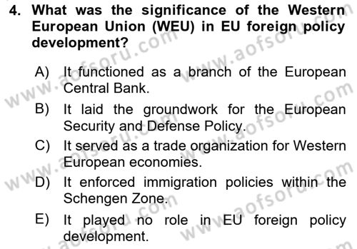 The European Union and Global Politics Dersi 2024 - 2025 Yılı (Vize) Ara Sınav Soruları 4. Soru