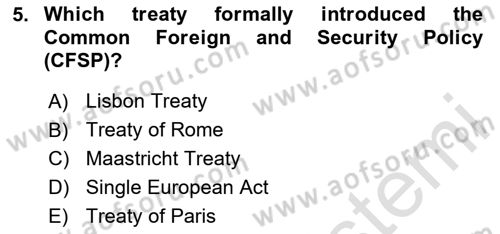 The European Union and Global Politics Dersi 2024 - 2025 Yılı (Vize) Ara Sınav Soruları 5. Soru