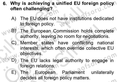 The European Union and Global Politics Dersi 2024 - 2025 Yılı (Vize) Ara Sınav Soruları 6. Soru