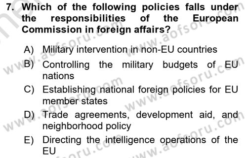 The European Union and Global Politics Dersi 2024 - 2025 Yılı (Vize) Ara Sınav Soruları 7. Soru