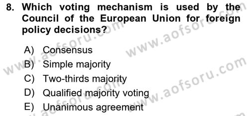 The European Union and Global Politics Dersi 2024 - 2025 Yılı (Vize) Ara Sınav Soruları 8. Soru