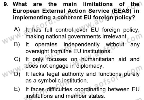 The European Union and Global Politics Dersi 2024 - 2025 Yılı (Vize) Ara Sınav Soruları 9. Soru
