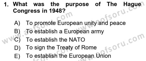 The European Union and Global Politics Dersi 2024 - 2025 Yılı (Final) Dönem Sonu Sınav Soruları 1. Soru