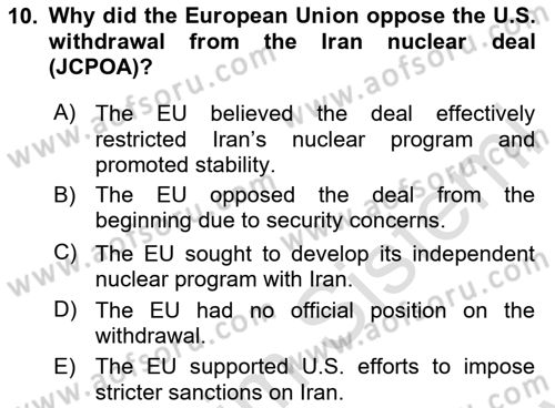The European Union and Global Politics Dersi 2024 - 2025 Yılı (Final) Dönem Sonu Sınav Soruları 10. Soru