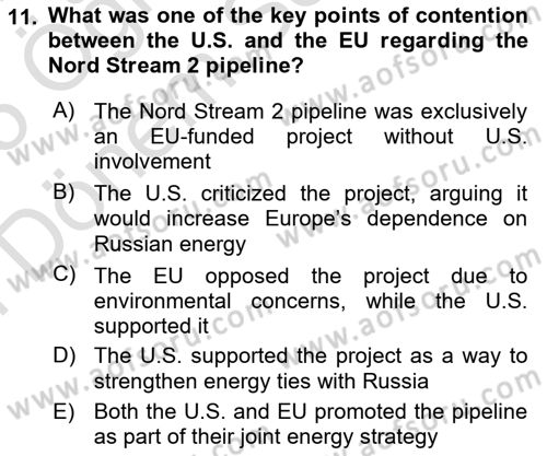 The European Union and Global Politics Dersi 2024 - 2025 Yılı (Final) Dönem Sonu Sınav Soruları 11. Soru