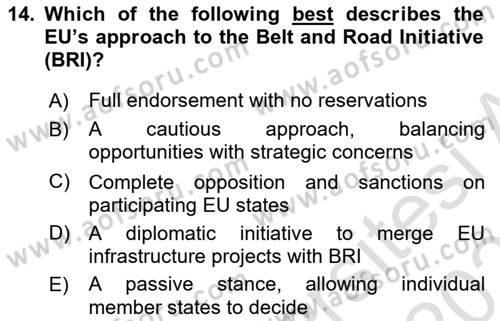 The European Union and Global Politics Dersi 2024 - 2025 Yılı (Final) Dönem Sonu Sınav Soruları 14. Soru