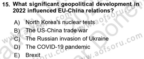 The European Union and Global Politics Dersi 2024 - 2025 Yılı (Final) Dönem Sonu Sınav Soruları 15. Soru