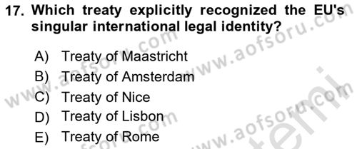 The European Union and Global Politics Dersi 2024 - 2025 Yılı (Final) Dönem Sonu Sınav Soruları 17. Soru