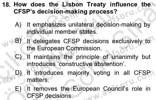 The European Union and Global Politics Dersi 2024 - 2025 Yılı (Final) Dönem Sonu Sınav Soruları 18. Soru