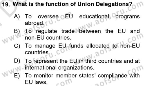 The European Union and Global Politics Dersi 2024 - 2025 Yılı (Final) Dönem Sonu Sınav Soruları 19. Soru
