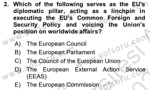 The European Union and Global Politics Dersi 2024 - 2025 Yılı (Final) Dönem Sonu Sınav Soruları 2. Soru