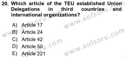The European Union and Global Politics Dersi 2024 - 2025 Yılı (Final) Dönem Sonu Sınav Soruları 20. Soru