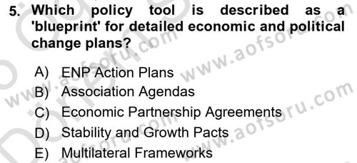 The European Union and Global Politics Dersi 2024 - 2025 Yılı (Final) Dönem Sonu Sınav Soruları 5. Soru